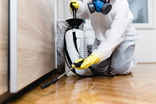 Stanley, ND Pest Control Pros