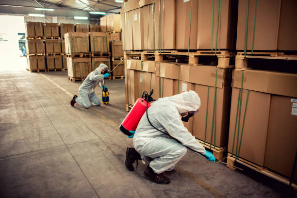 Best Flea Control Services  in Stanley, ND