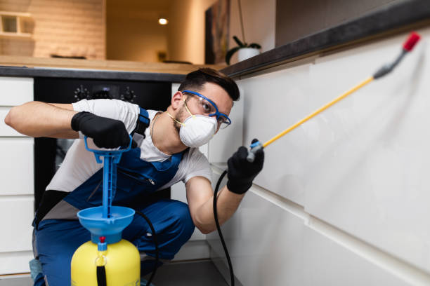 Pest Control for Restaurants in Stanley, ND