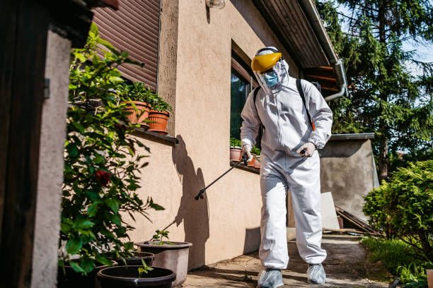 Reliable Stanley, ND Pest Control Solutions