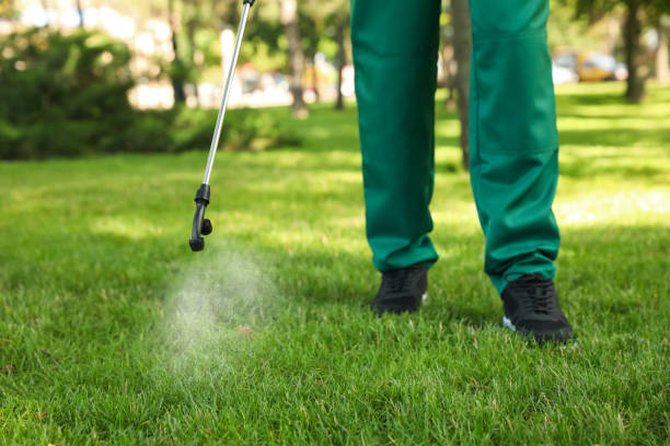Best Pest Prevention Services  in Stanley, ND