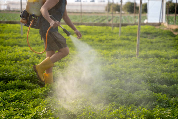 Best Affordable Pest Control Services  in Stanley, ND