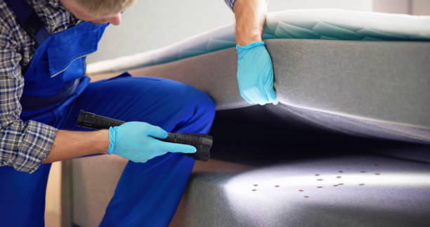 Best Pest Control for Homes  in Stanley, ND