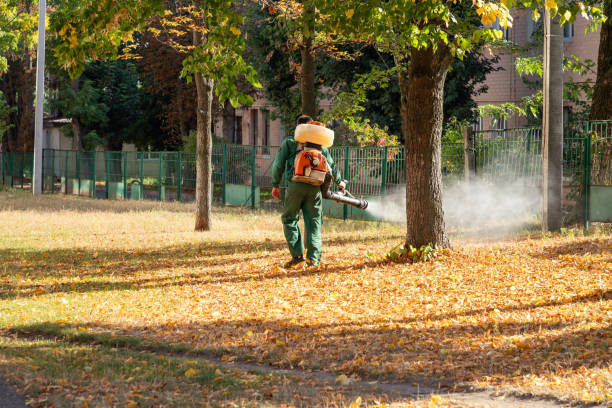Best Pest Control for Restaurants  in Stanley, ND